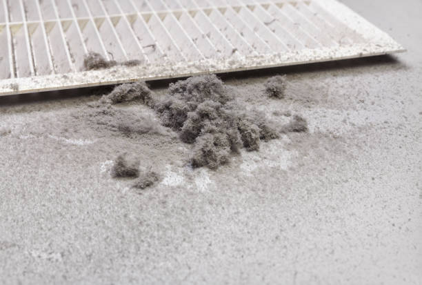 Best Air Duct Cleaning Near Me  in Mount Clemens, MI