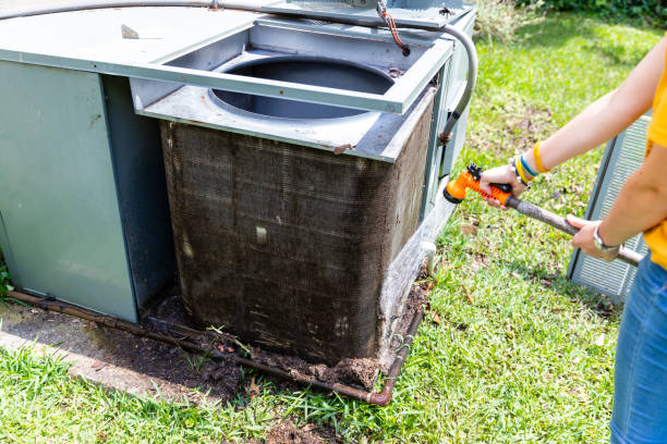 Best Ductwork Cleaning Services  in Mount Clemens, MI