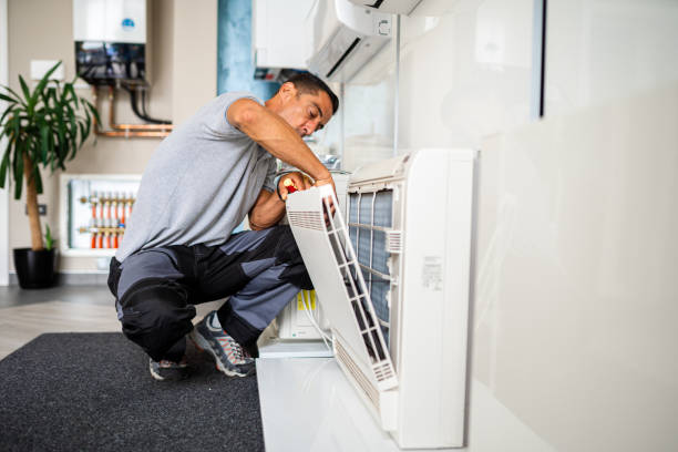 Best Local Air Duct Cleaning Services  in Mount Clemens, MI