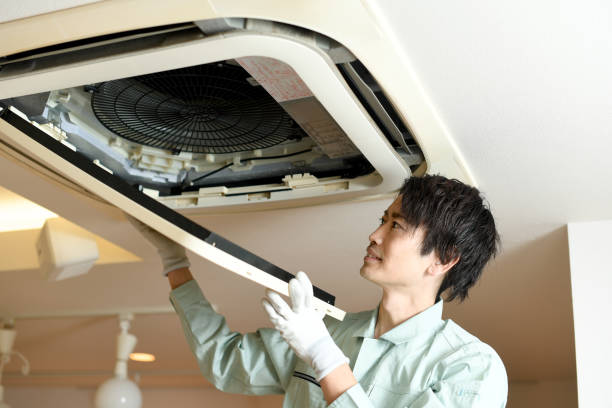 Best Commercial Air Duct Cleaning  in Mount Clemens, MI