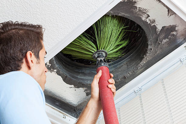 Best Air Vent Cleaning Services  in Mount Clemens, MI